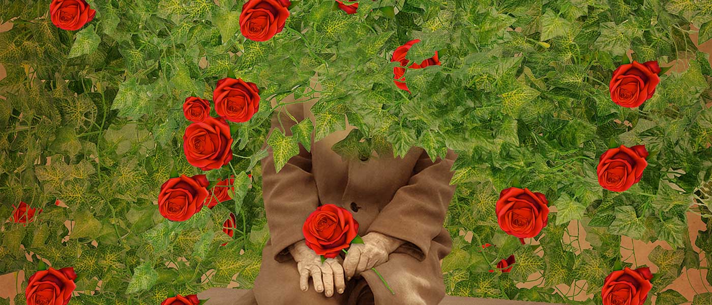 roses-header
